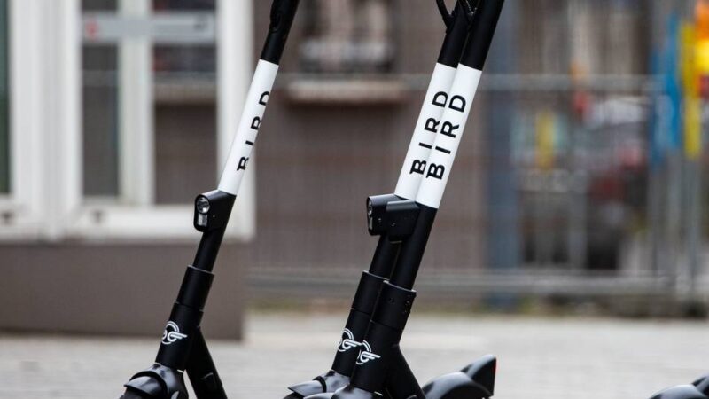 Nach Tod eines 14-Jährigen: „Teilweise rücksichtlos“ – Zentrumspartei fordert Fahrschultraining für E-Scooter