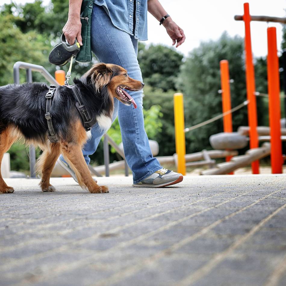 Ermahnung in Mettmann: Hunde sind auf Spielplätzen verboten