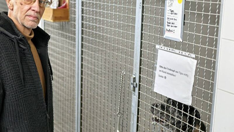 Immer mehr Hunde werden abgegeben: Tierheim Hilden kämpft mit säumigen Zahlern