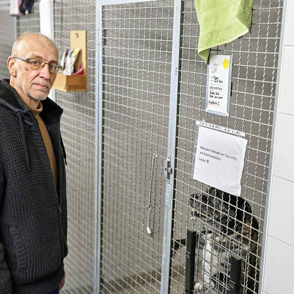 Immer mehr Hunde werden abgegeben: Tierheim Hilden kämpft mit säumigen Zahlern