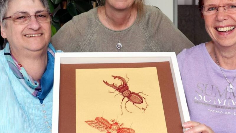 Alte Handwerkskunst im VHS-Kursus gelernt: Wenn Käfer Spitze tragen – Leverkusenerin klöppelt fürs Deutsche Textilmuseum