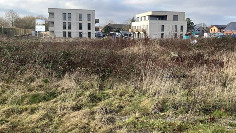 Letzte Sitzung vor der Sommerpause: Diese Entscheidungen stehen im Kaarster Stadtrat an