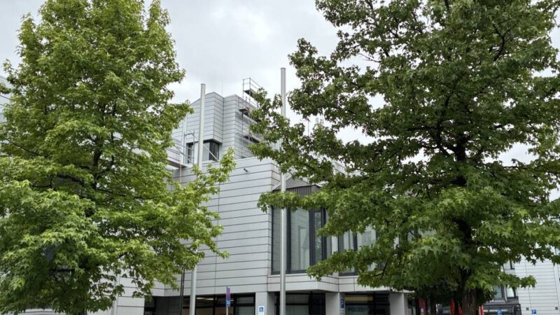 Baumkataster vorgestellt: Stadtgrün steht unter Druck