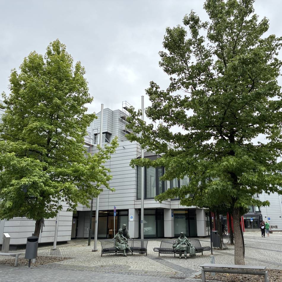 Baumkataster vorgestellt: Stadtgrün steht unter Druck