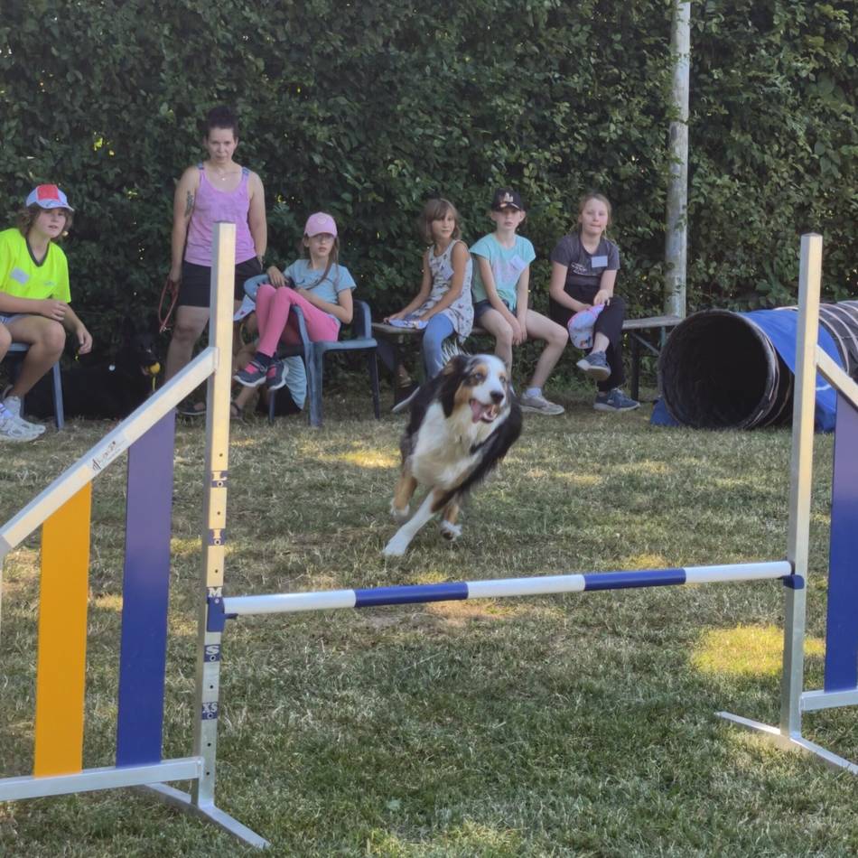 Ferienspiele beim Schäferhundverein Veen: Erst ins Planschbecken, dann in den Hunde-Parcours