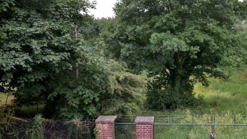 Nach Autoaufbruch in Rheinberg: Polizei umstellt Wald und nimmt zwei Tatverdächtige fest