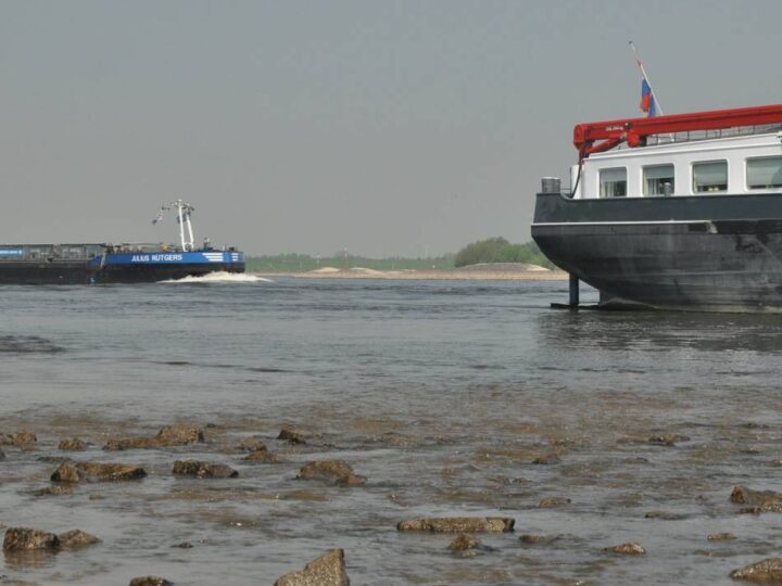 Pegel und Grundwasserstände sinken: Trockenheit hat Folgen für die Rheinschifffahrt