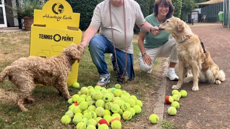 Tierische Mission in Neuss: Hündin Sunny fand 230 Tennisbälle beim Gassigehen – jetzt bekam der Tennisclub sie zurück