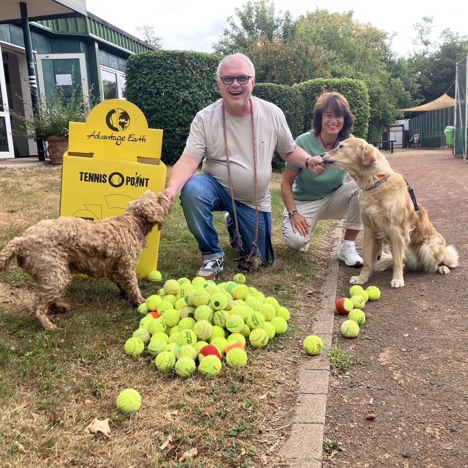 Tierische Mission in Neuss: Hündin Sunny fand 230 Tennisbälle beim Gassigehen – jetzt bekam der Tennisclub sie zurück