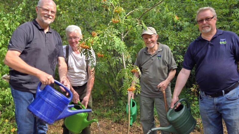 Rolf Wörhoff geht in Naturschutz-Rente: Ein Leben für Dormagens Bäume – jetzt soll die SDW weiterpflanzen