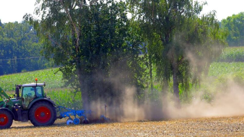Landwirtschaft am Niederrhein: Kein Regen – Bauern fürchten magere Ernte
