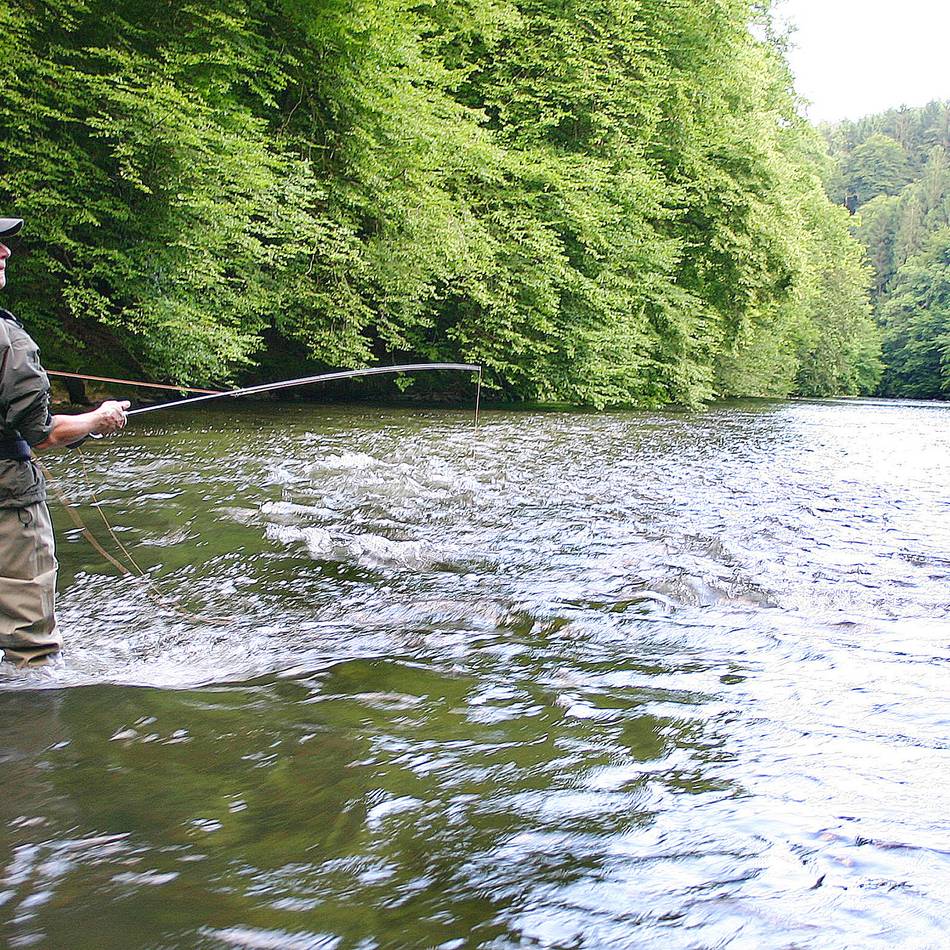 Bürgerbüro Hückeswagen informiert: Neuerungen nicht nur für die bergischen Angler