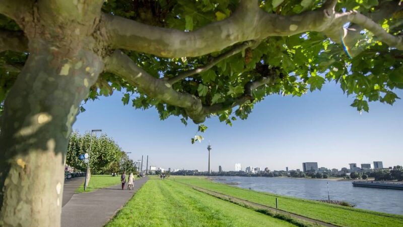 Fitness in Düsseldorf: Heerdt bekommt ein neues Fitnessangebot – inklusive Hollywood-Schaukel am Rhein
