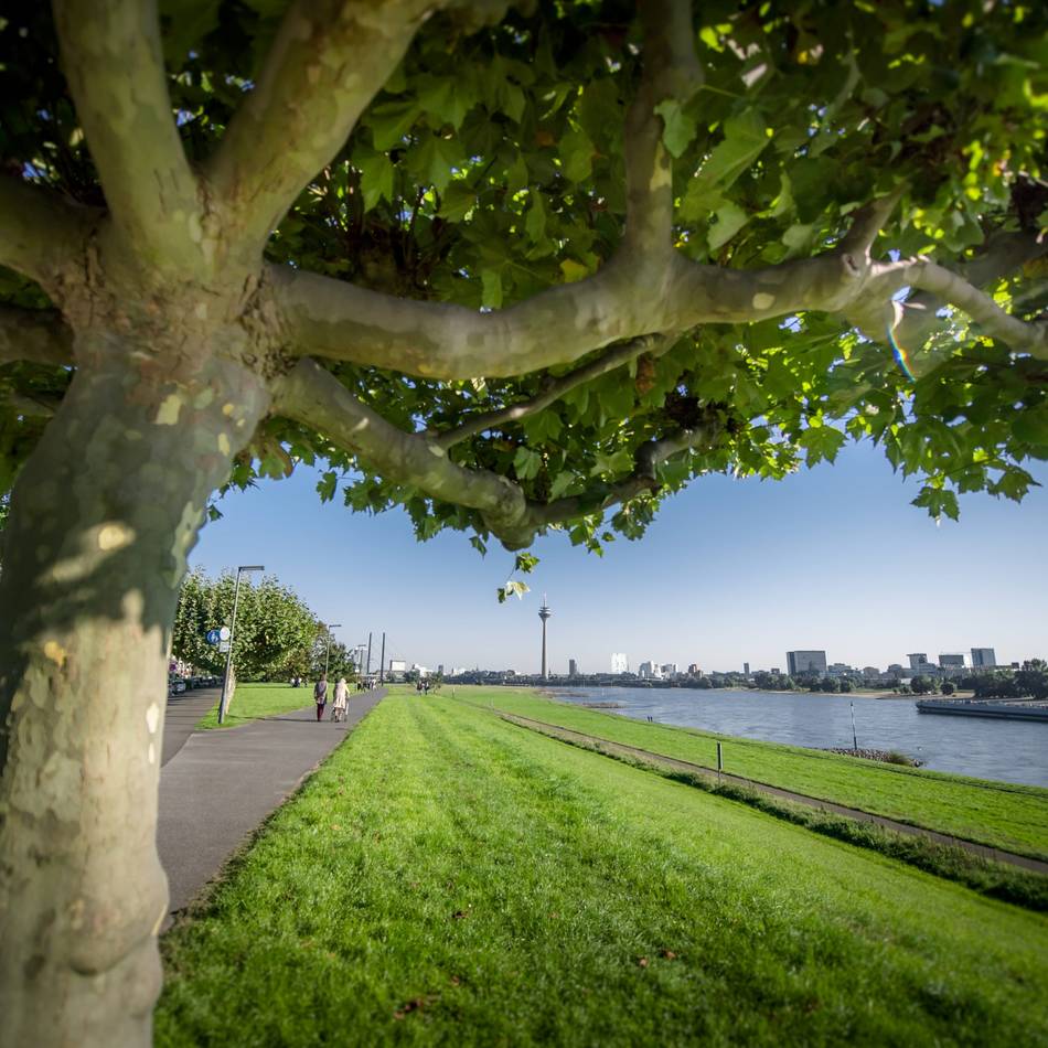 Fitness in Düsseldorf: Heerdt bekommt ein neues Fitnessangebot – inklusive Hollywood-Schaukel am Rhein