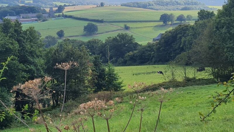 Wanderung in Niederberg: Natur erleben im Windrather Tal