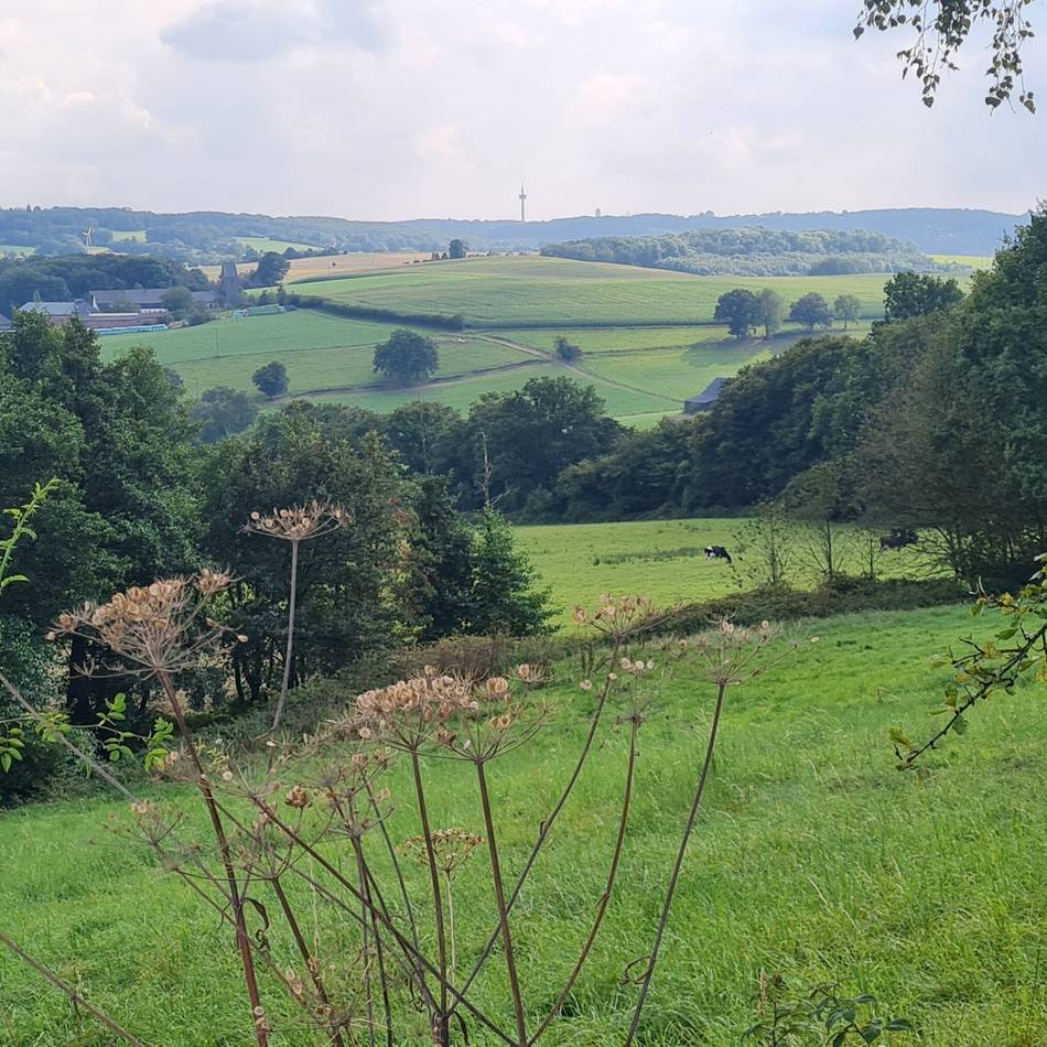 Wanderung in Niederberg: Natur erleben im Windrather Tal