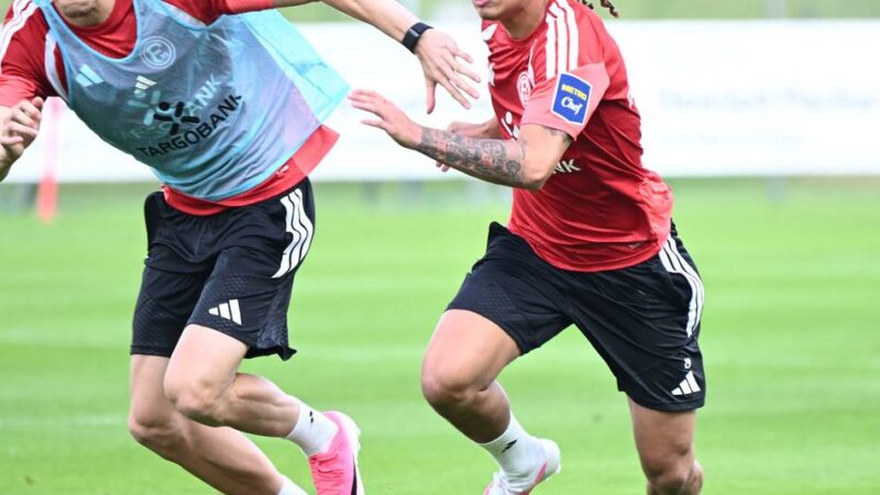 „Kein leichter Verhandlungspartner“: Schon lange ein Fortuna-Wunschspieler – Arabi zieht Plan bei Transfer-Hängepartie durch
