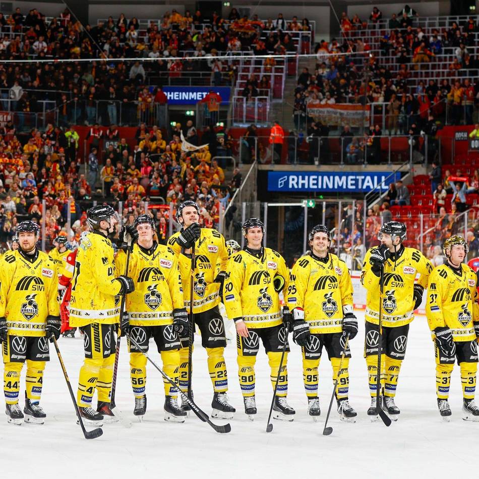 Am Puls der Pinguine: Cyberangriff auf die Pinguine – Website vorläufig nicht erreichbar
