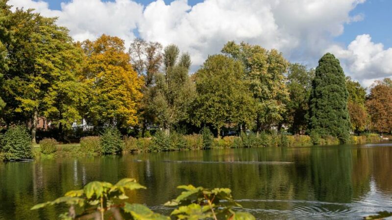 Schuss auf krankes Wildtier: Jäger in Krefeld angefeindet – „Verrecken sollst du“