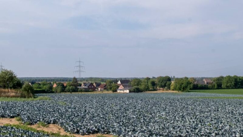 Strukturwandel in Mönchengladbach: Stadt plant bis zu 30 Hektar großes Gewerbegebiet in Rasseln