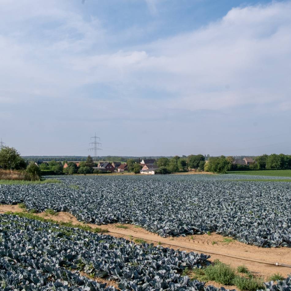 Strukturwandel in Mönchengladbach: Stadt plant bis zu 30 Hektar großes Gewerbegebiet in Rasseln
