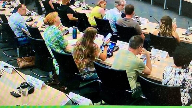 Politische Teilhabe geht seit 2017 auch virtuell: 3910 Leverkusener knipsten jüngst das Rats-TV an