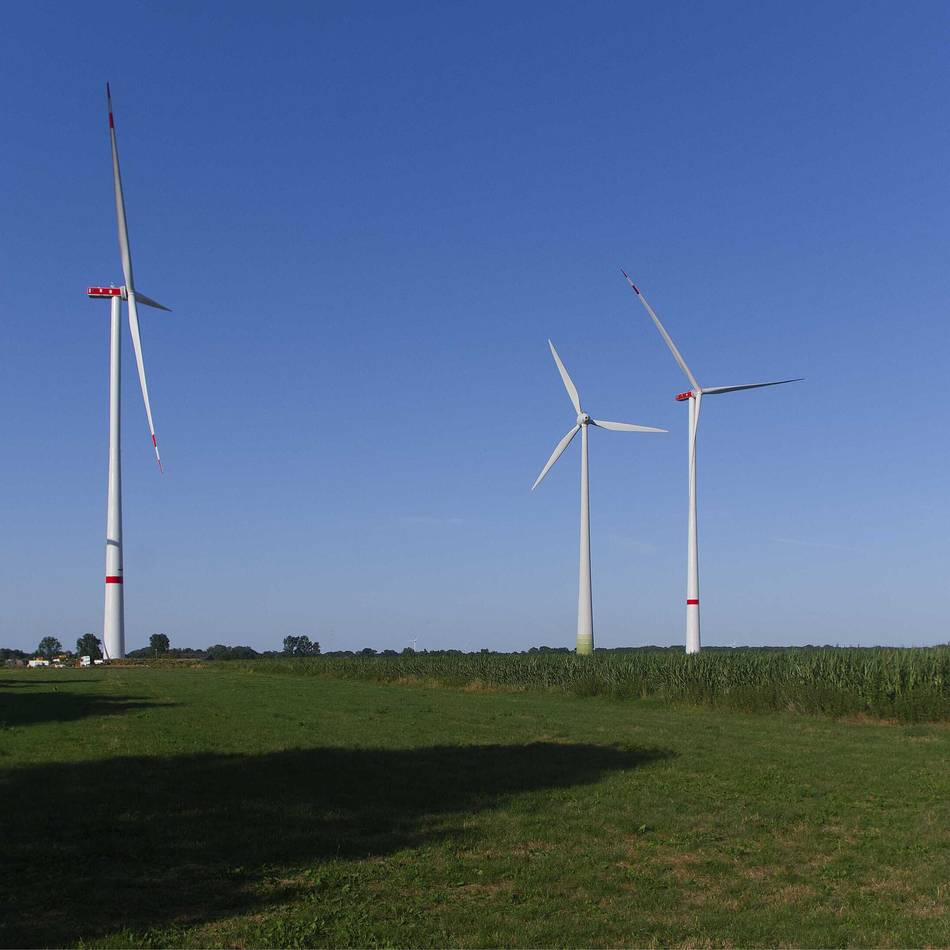 Neue Anlagen entstehen in Winnenthal: „Die alten Windräder werden gefällt wie Bäume“
