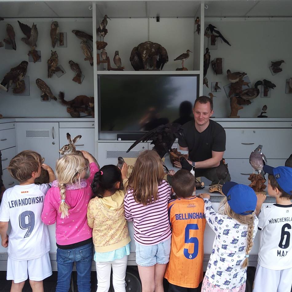 Kita Glückskinder in Willich: Rollende Waldschule bringt 60 Kita-Kindern die Tierwelt näher