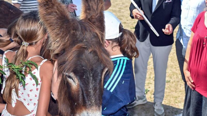 Kinderschutzbund und Partner in Willich: Gemeinsam Mädchen stark machen