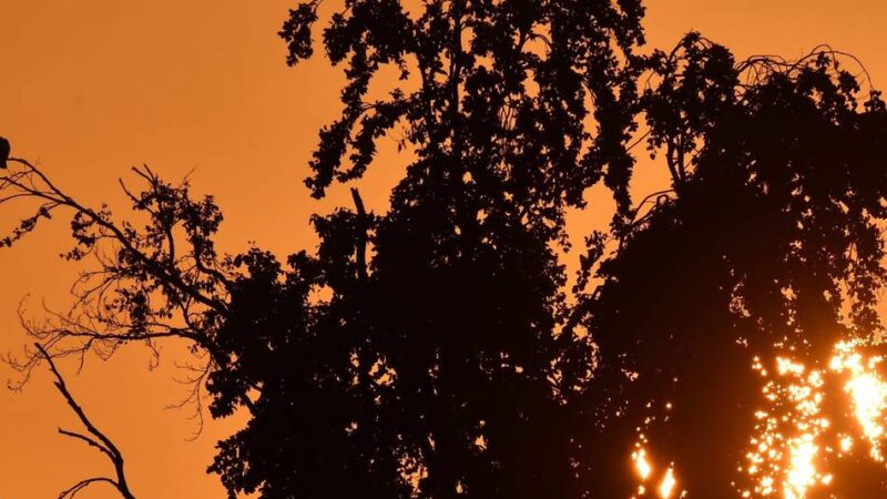 Urlaubszeit in Meerbusch: Abheben mit dem Sonnenaufgang