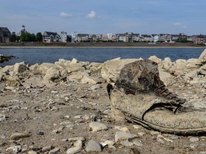 Kleves Notstand mit dem Klima: So erstaunlich geht die Klever Politik mit Extremhitze um