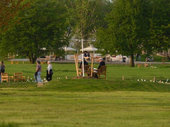 Das Pflege- und Bewässerungskonzept der Laga Neuss: 1500 heimische Wiesenarten – die stille Stärke der Laga-Wiesen