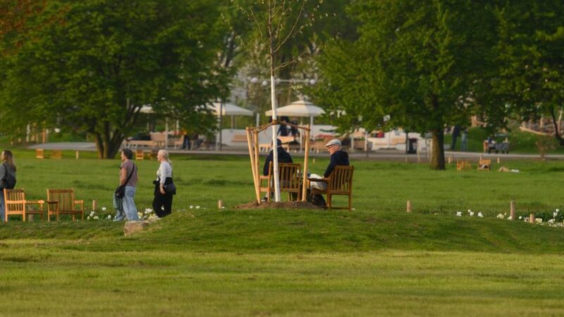 Das Pflege- und Bewässerungskonzept der Laga Neuss: 1500 heimische Wiesenarten – die stille Stärke der Laga-Wiesen