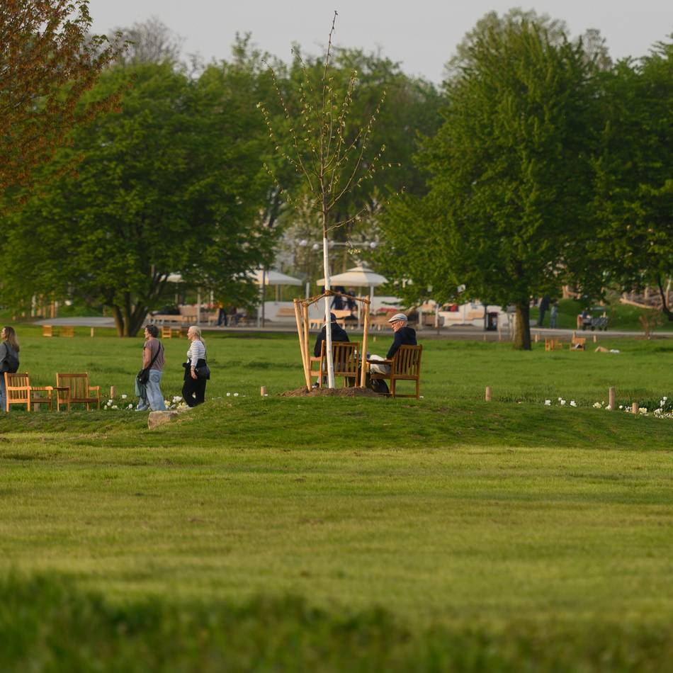 Das Pflege- und Bewässerungskonzept der Laga Neuss: 1500 heimische Wiesenarten – die stille Stärke der Laga-Wiesen