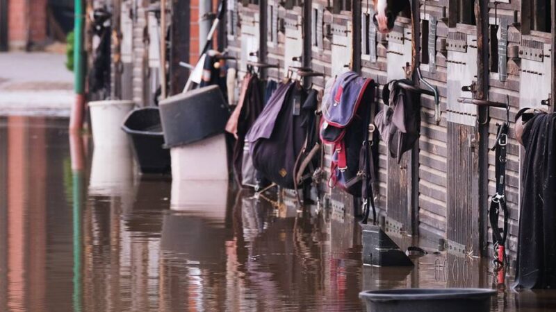 Hochwasser 2021 in Ratingen : Als die Reitsportanlage Volkardey geflutet wurde
