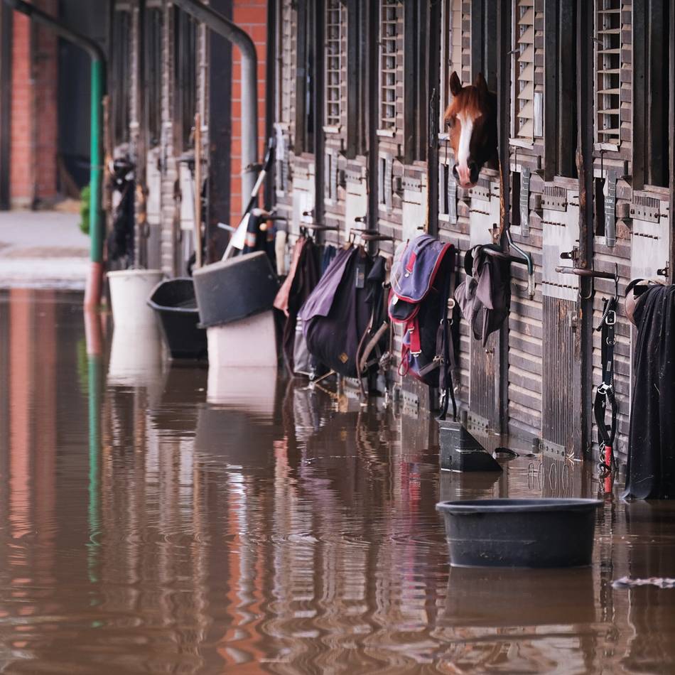 Hochwasser 2021 in Ratingen : Als die Reitsportanlage Volkardey geflutet wurde