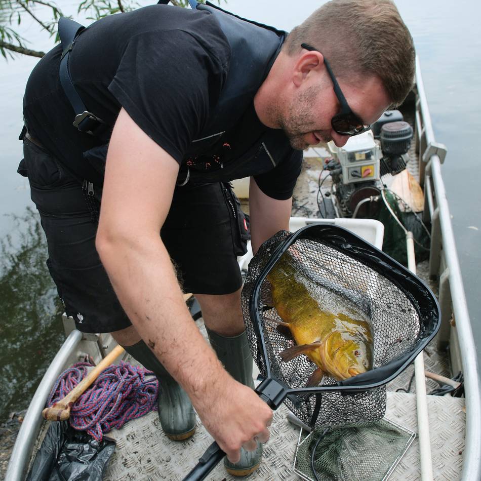 Abtskücher Teich in Heiligenhaus: Fische ziehen in andere Gewässer um