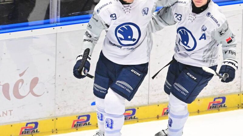 Erste Station in Deutschland: Ehemaliger NHL-Erstrundenpick wechselt zu den Krefeld Pinguinen