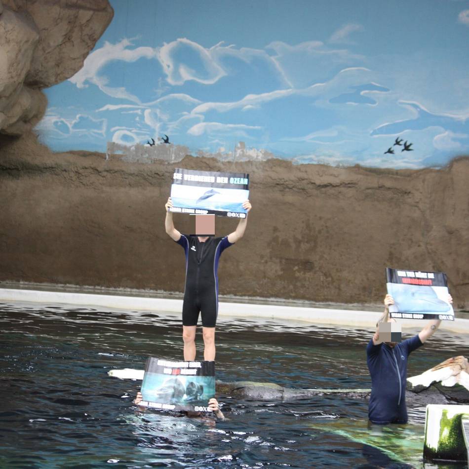 Vorfall im Duisburger Zoo: Tierschutzorganisation distanziert sich von Sprung ins Delfinbecken