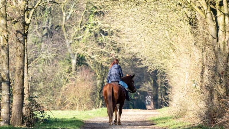 Reitsport im Kreis Viersen: Vier Monate, 72.300 Kilometer – und kein einziger Stau