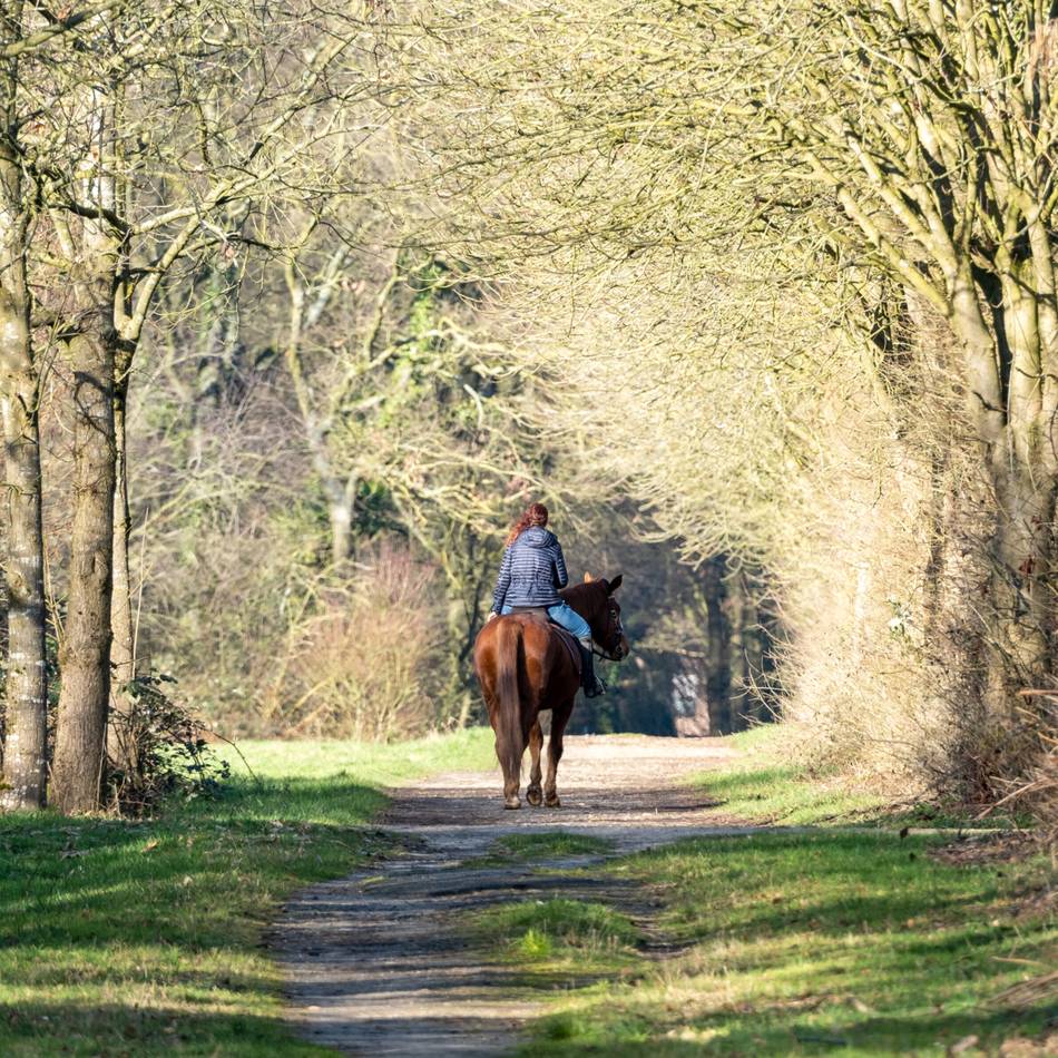 Reitsport im Kreis Viersen: Vier Monate, 72.300 Kilometer – und kein einziger Stau