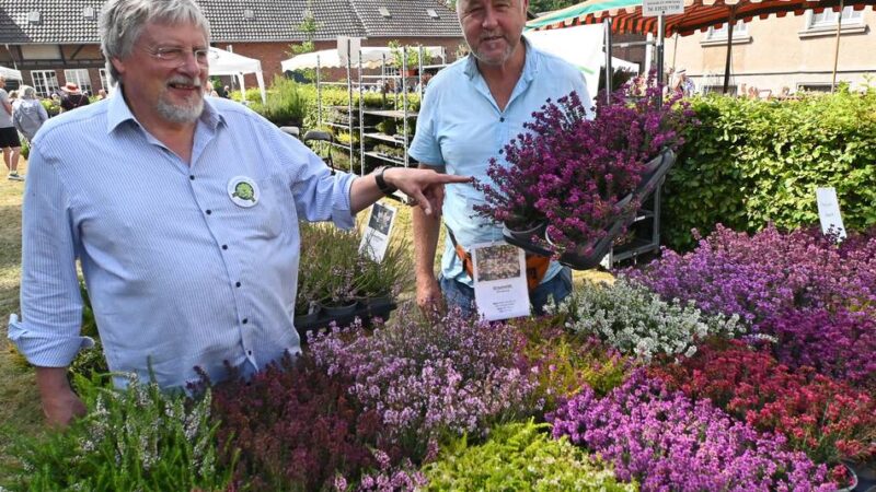 Pflanzentreffen in Knechtsteden: Über 50 Gärtnereien bringen Raritäten mit