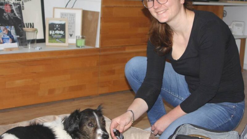 Dülkenerin ist Tierphysiotherapeutin: Wenn Hund und Pferd Physiotherapie brauchen