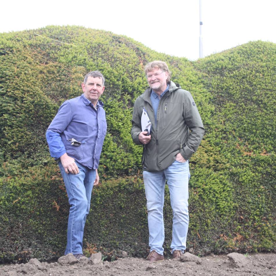 Serie Naturdenkmäler im Kreis Viersen: Eine einmalige Hecke