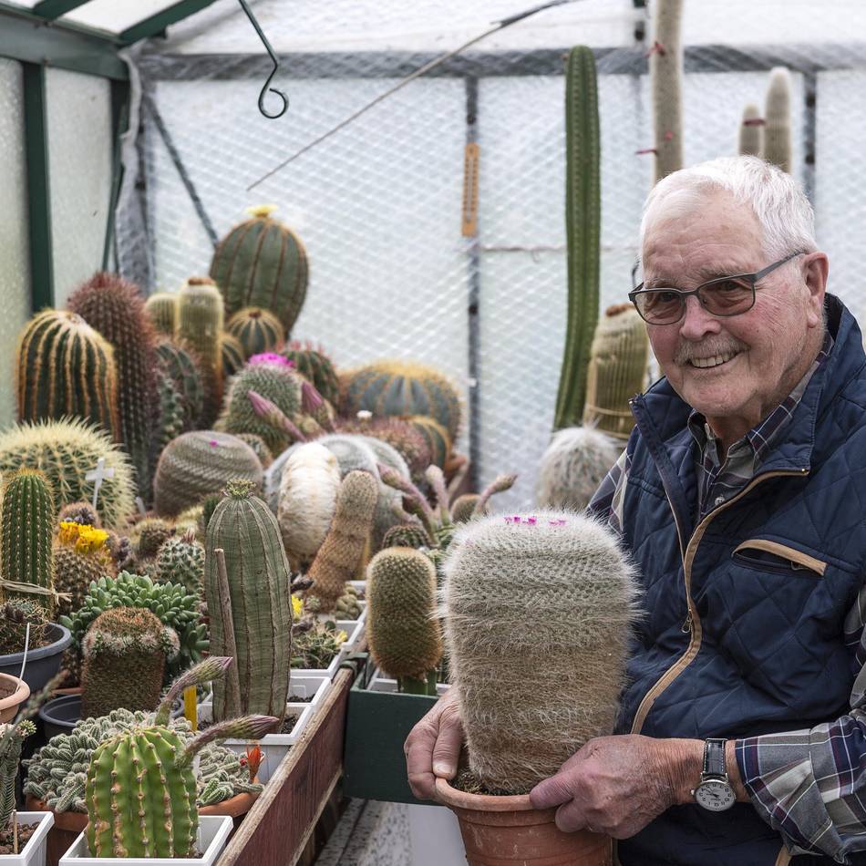 Kakteen und Bonsai: Ein Garten voller Schätze