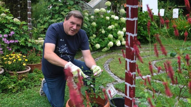 Gartenarbeiten im Juli: Der Garten wird zum Blütenmeer