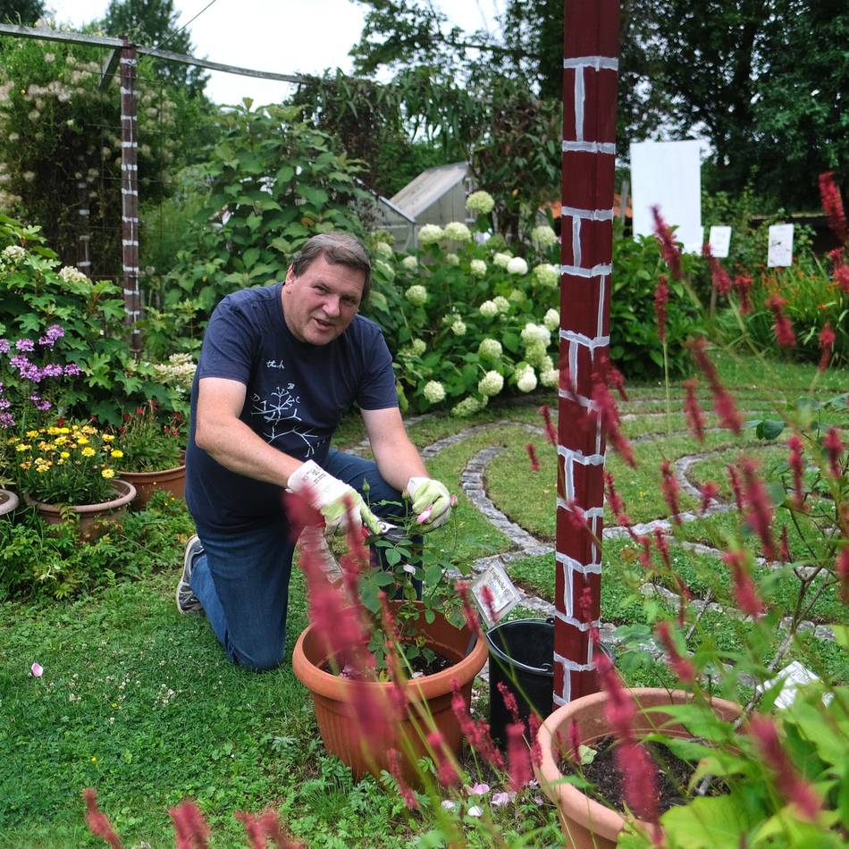 Gartenarbeiten im Juli: Der Garten wird zum Blütenmeer