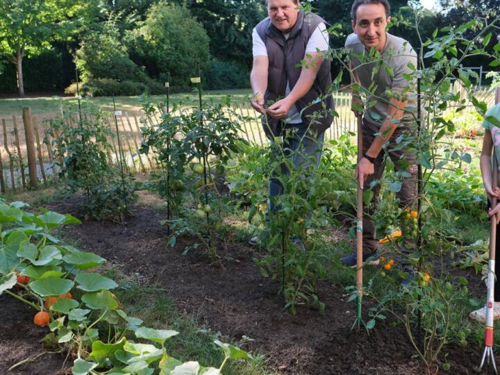 Mit dem Profi durchs Gartenjahr: Gemüse benötigt jetzt ausgiebig Wasser