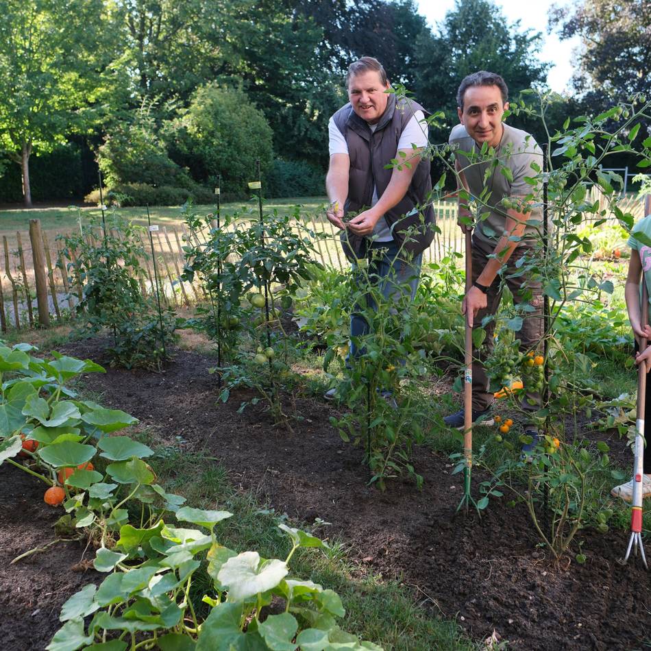 Mit dem Profi durchs Gartenjahr: Gemüse benötigt jetzt ausgiebig Wasser