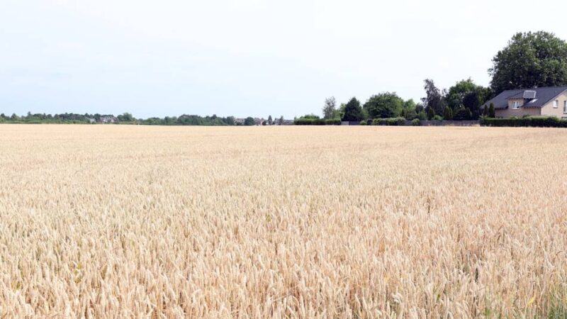 Stadtplanung in Korschenbroich: Behutsame Bebauung am Tritenbroicher Feld